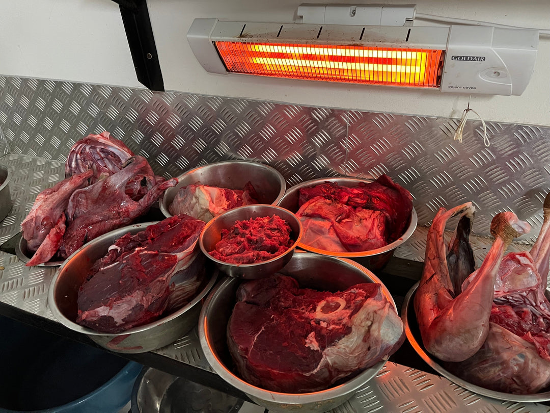 Meat room