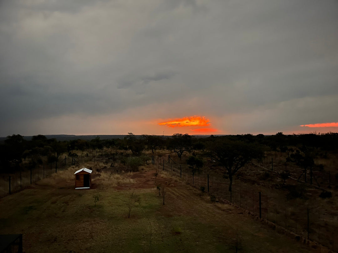 Gomawild at cheetah experience reserve