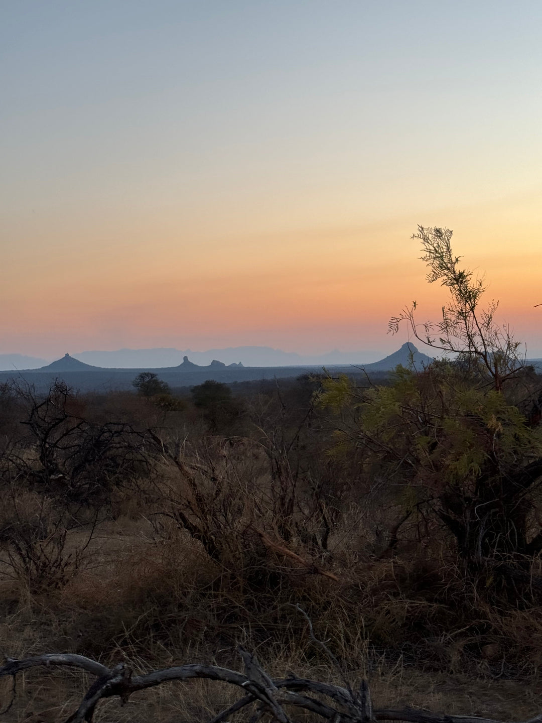 Bushwalks at Pondoro