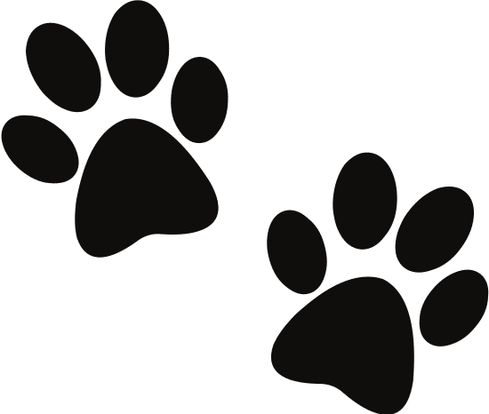 Paw Icon